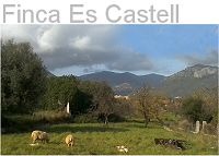 Es Castell