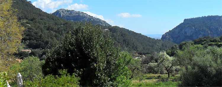 Valldemossa