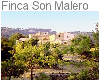 Son Malero bei Calvia