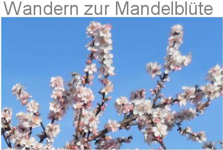 Wanderungen zur Mandelblte